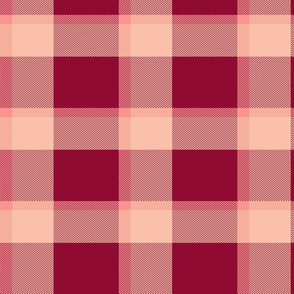 Buffalo plaid red 17