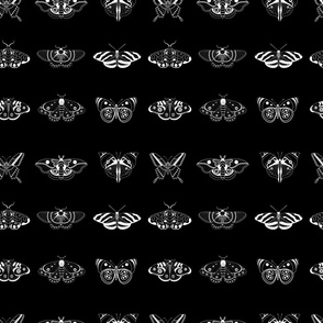 Black and White Butterflies