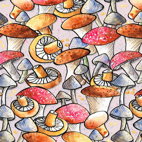 Mushroom Meadow