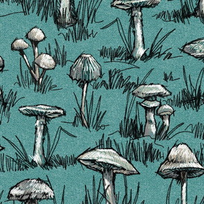 Toile Wild Mushrooms Sketchbook|Green|Sm