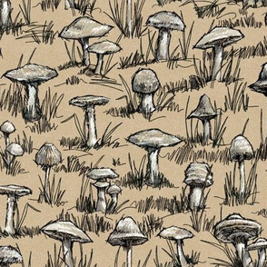 Toile Wild Mushrooms Sketchbook|Golden|Sm