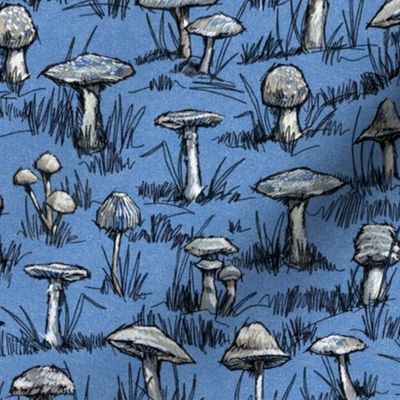 Toile Wild Mushrooms Sketchbook|Blue|Sm