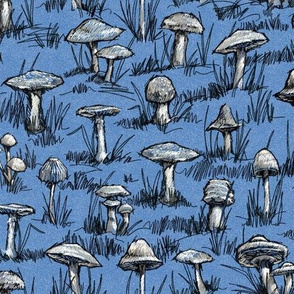 Toile Wild Mushrooms Sketchbook|Blue|Sm