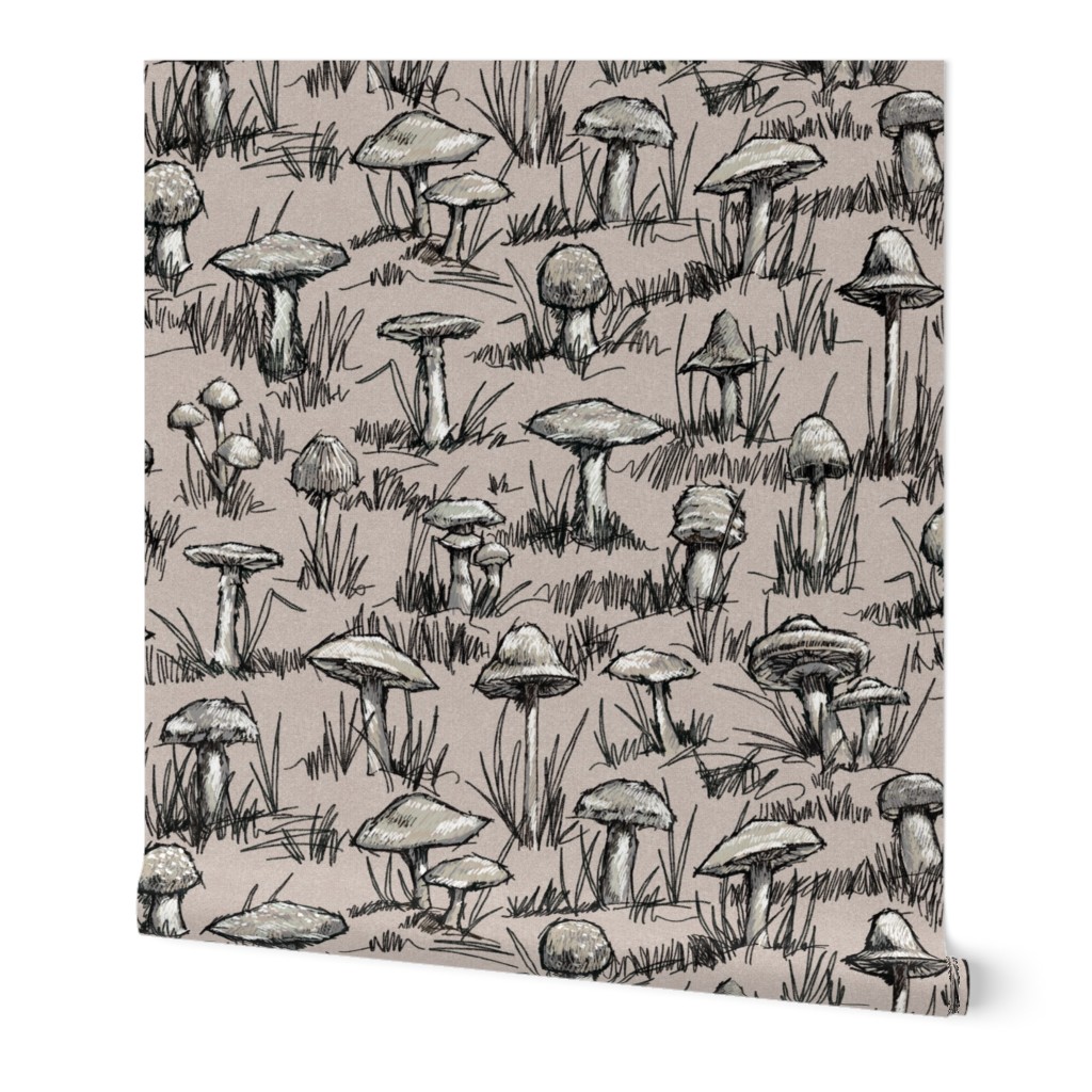 Toile Wild Mushrooms Sketchbook 