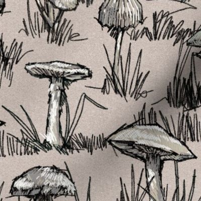 Toile Wild Mushrooms Sketchbook 