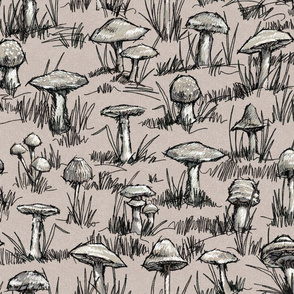 Toile Wild Mushrooms Sketchbook 