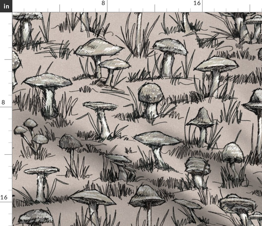 Toile Wild Mushrooms Sketchbook 