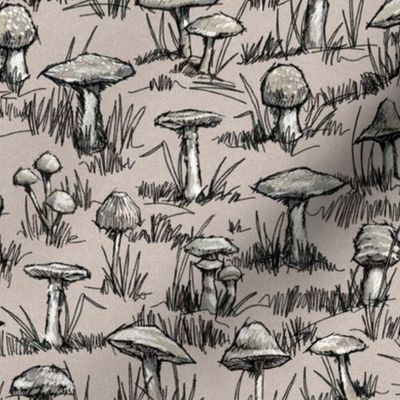 Toile Wild Mushrooms Sketchbook | Small