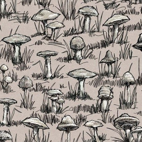 Toile Wild Mushrooms Sketchbook | Small