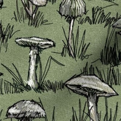 Toile Wild Mushrooms Sketchbook  | Olive
