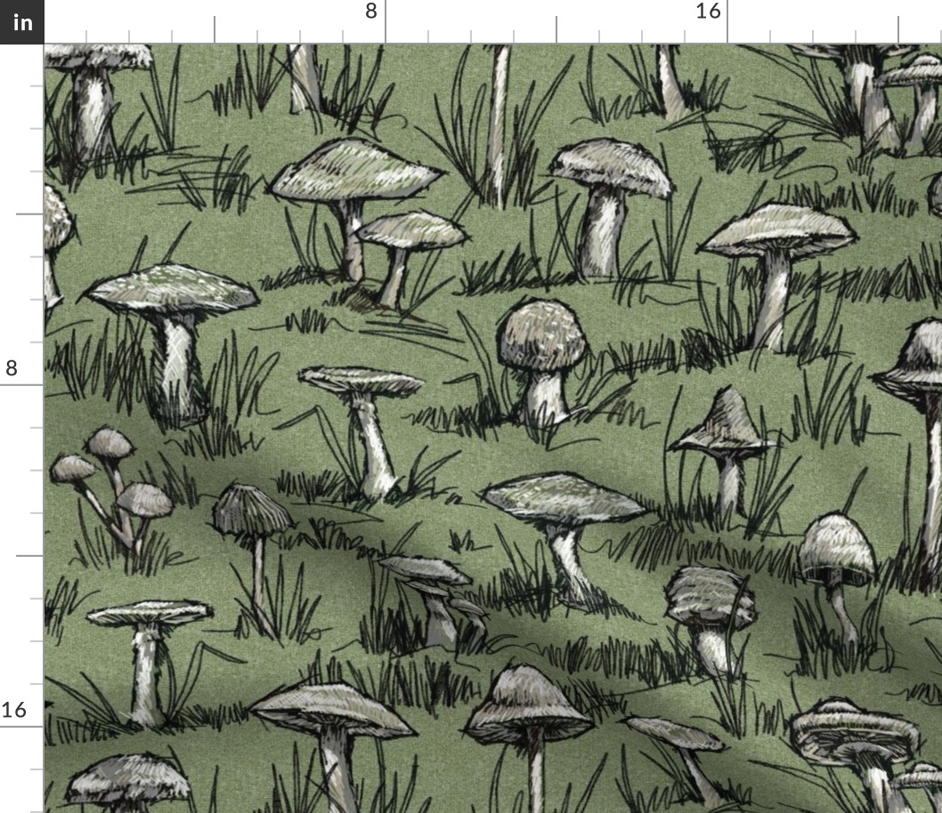 Toile Wild Mushrooms Sketchbook  | Olive