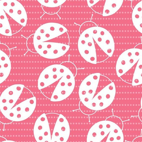 Ladybug party - pink white