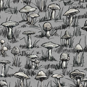 Toile Wild Mushrooms Sketches| Sm | Gray