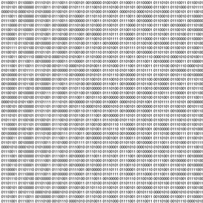 Binary Computer Code White on Black