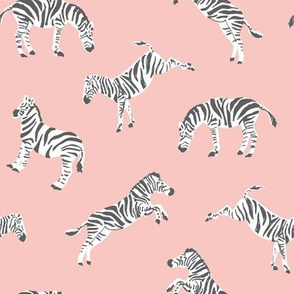 Zebra in Pink - Medium