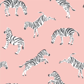 Zebra in Pink - Large
