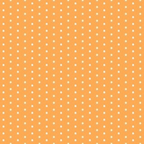 Small Polka Dots Orange RC