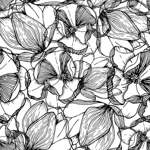 Magnolia Flower Line Art in Black and White