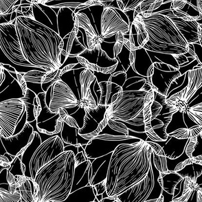 Magnolia Flower Line Art Reversed in Black and White