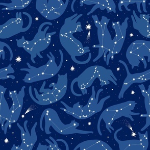 Large scale / cat constellations blue