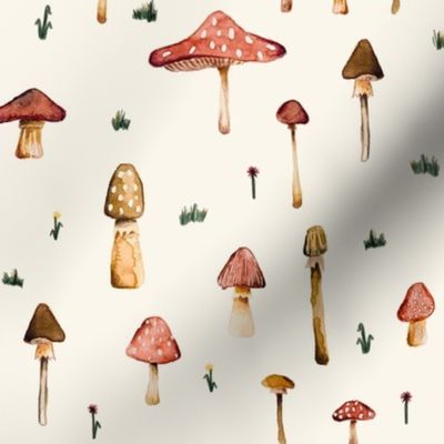 Mushrooms creme
