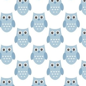 BABY BLUE OWLS