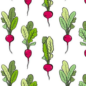 radishes