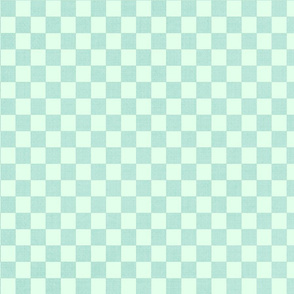 Aqua Gingham 