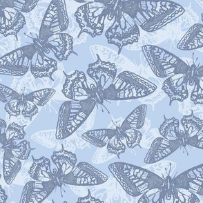 Lace Butterflies Recolored 50_ Transparency BG Butterflies