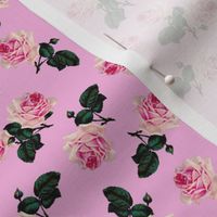 Scattered vintage roses candy pink (small)