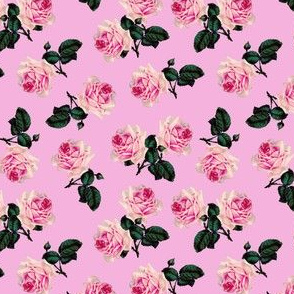 Scattered vintage roses candy pink (small)