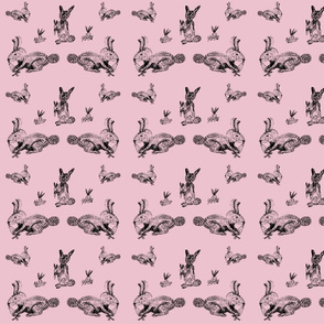 rabbits pink