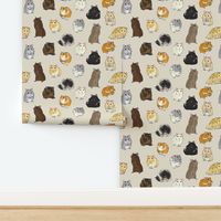 syrian hamster pattern beige plain