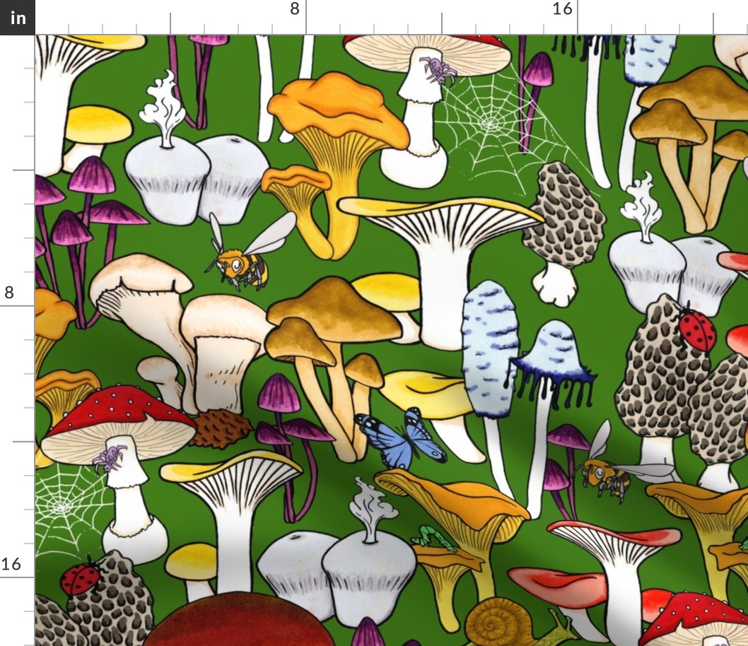 My Favorite Fungi