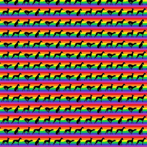 Rainbow Greyhound Martingale Collar
