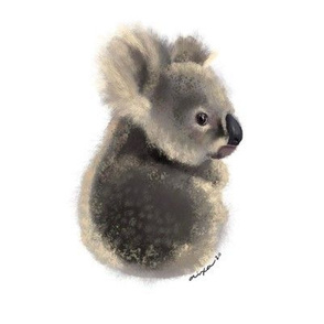 Baby Koala BIG