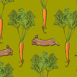 Carrots and Rabbits