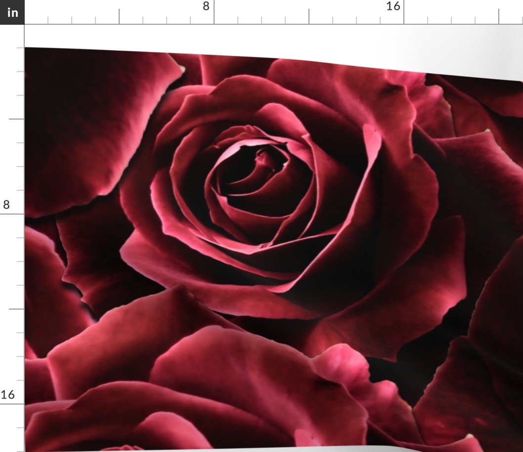 Velvet Roses Red - Large non repeat print 