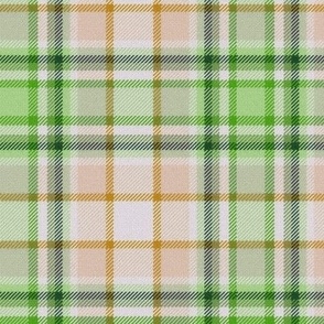 Lime Green and Beige White Center Plaid