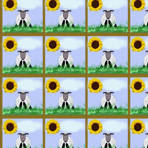 Sheepy Sunflower