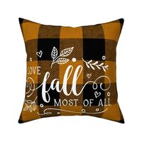 I Love Fall Most of All 18 inch square