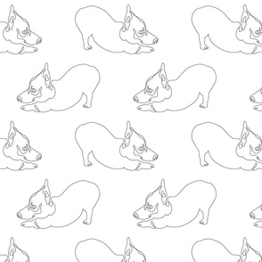  One Line Corgi Downward Dog_8x8