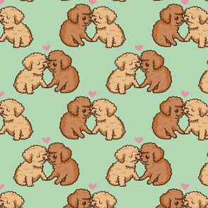 Teacup Poodle Kisses_8x8