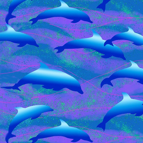 Swimming dolphins2