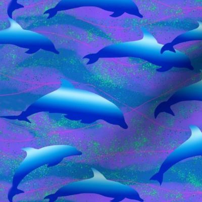 Small Swimming Dolphins