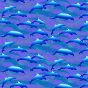 Small Swimming Dolphins