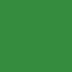 All About The Greens Shamrock / Emerald / Parakeet Green Solid Color Pairs To Sherwin Williams Envy SW 6925
