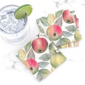 Juicy apples (white background)