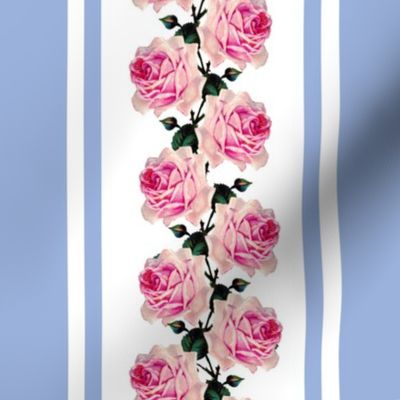 Climbing pink vintage roses blue stripe (large)