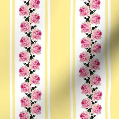 Climbing pink vintage roses yellow stripe (small)